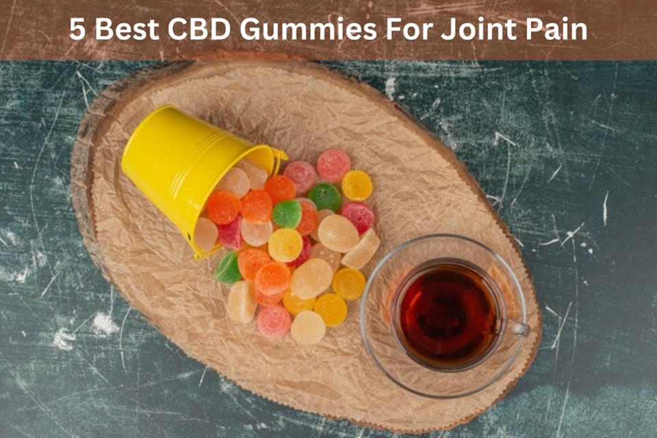 Best CBD Gummies for Joint Pain in 2024