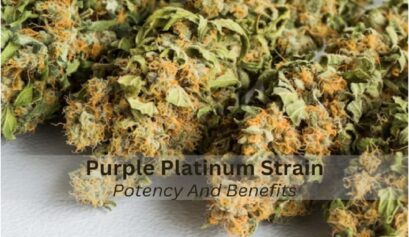 purple platinum strain