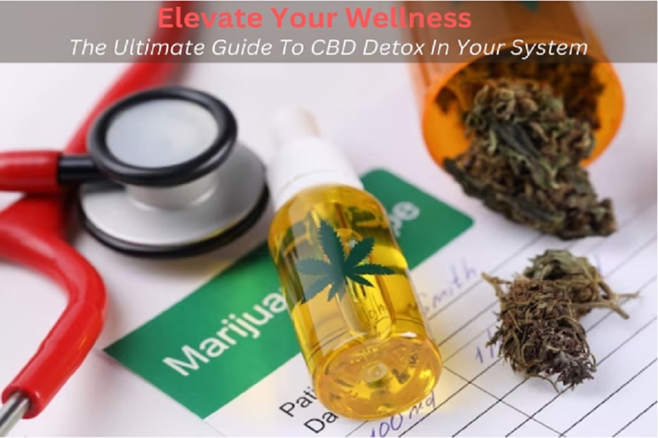 Ultimate Guide To CBD Detox In Your System