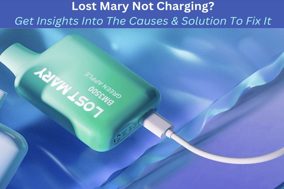 Lost Mary Not Charging